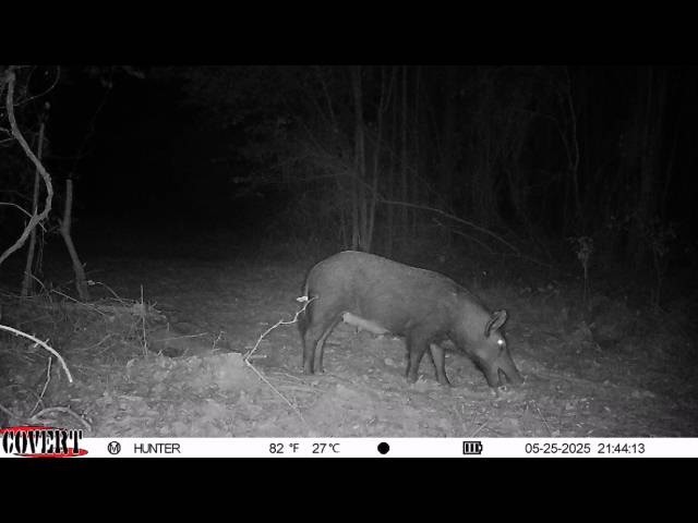 17584 Fm 1252 Winona TX 75792
