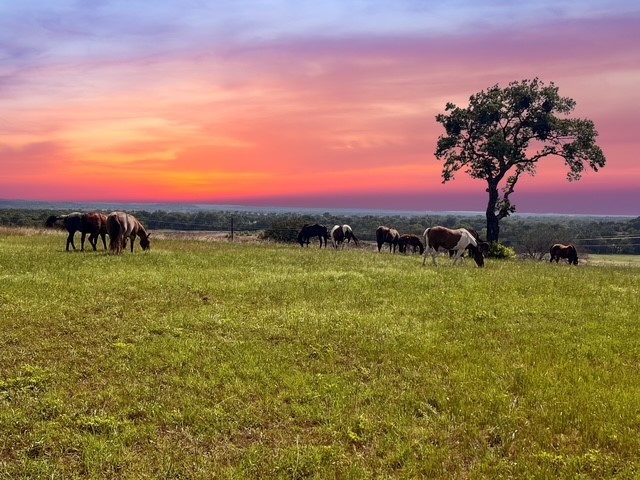 7205 Bethel Road Weatherford TX 76087
