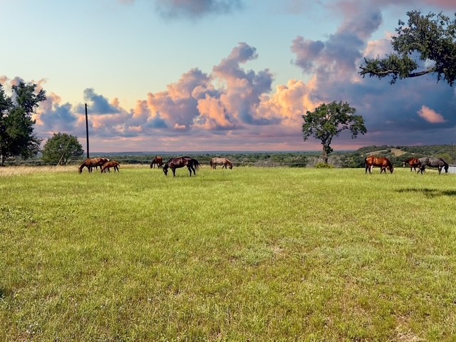 7205 Bethel Road Weatherford TX 76087