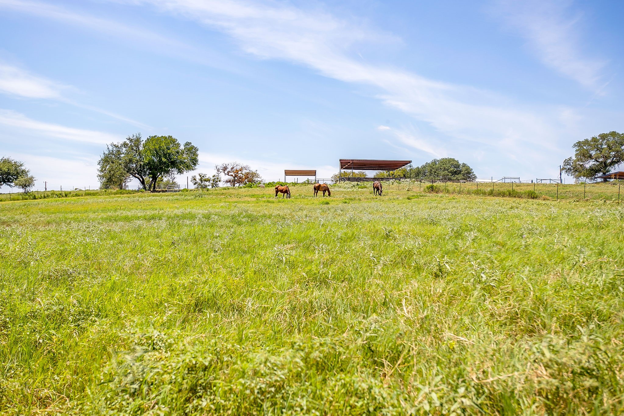 7205 Bethel Road Weatherford TX 76087