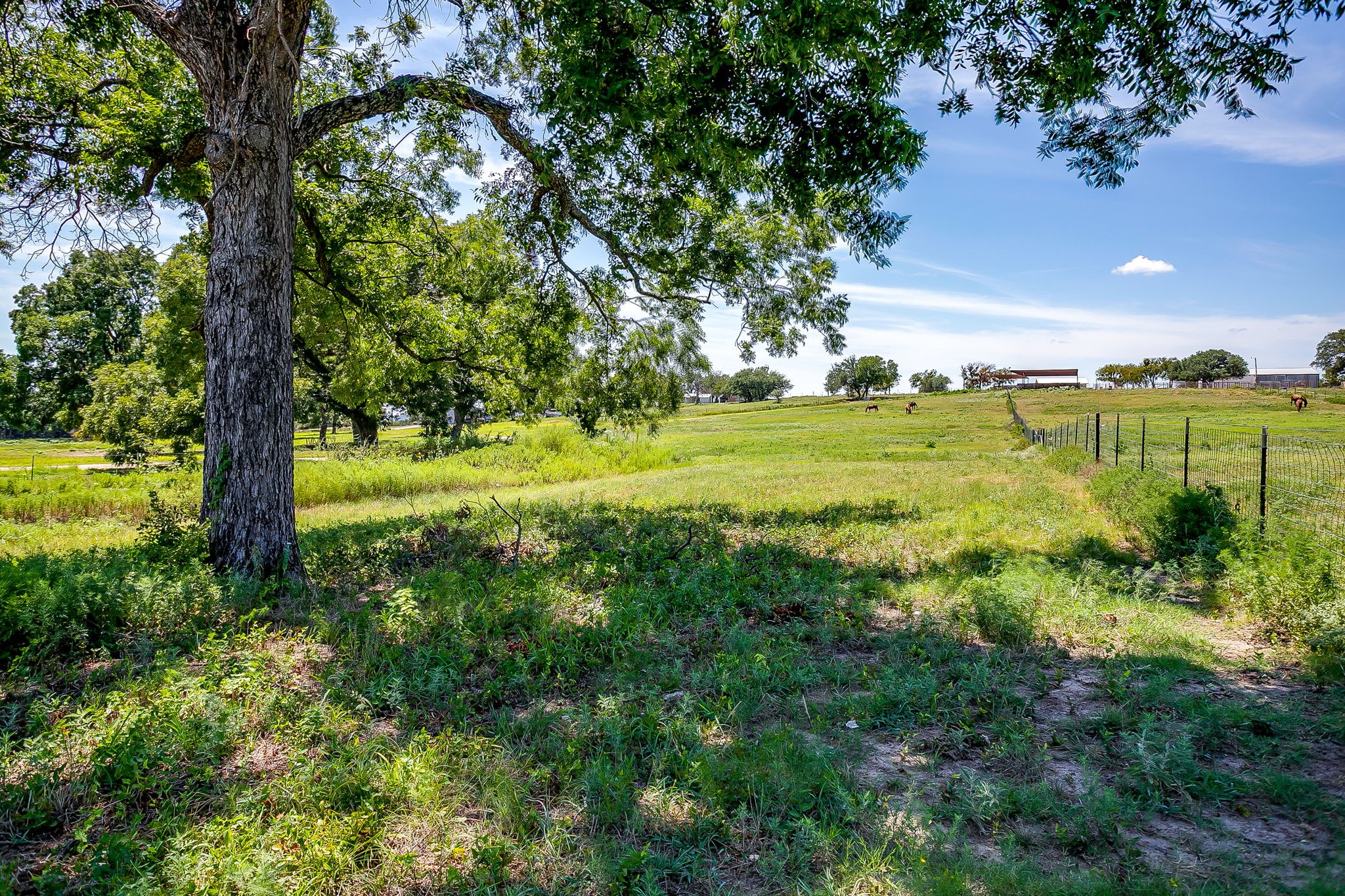 7205 Bethel Road Weatherford TX 76087