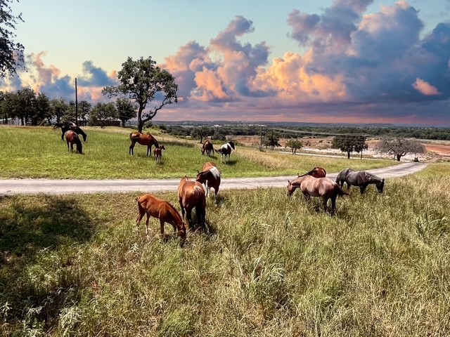 7205 Bethel Road Weatherford TX 76087