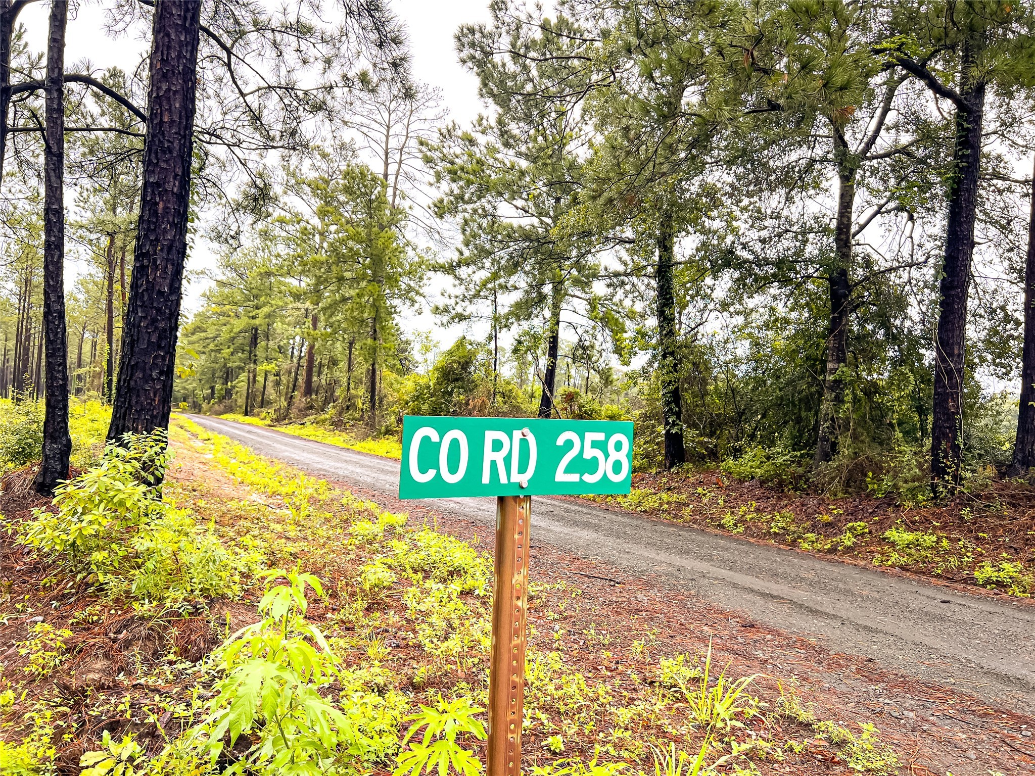 2 Cr 258 Jasper TX 75951