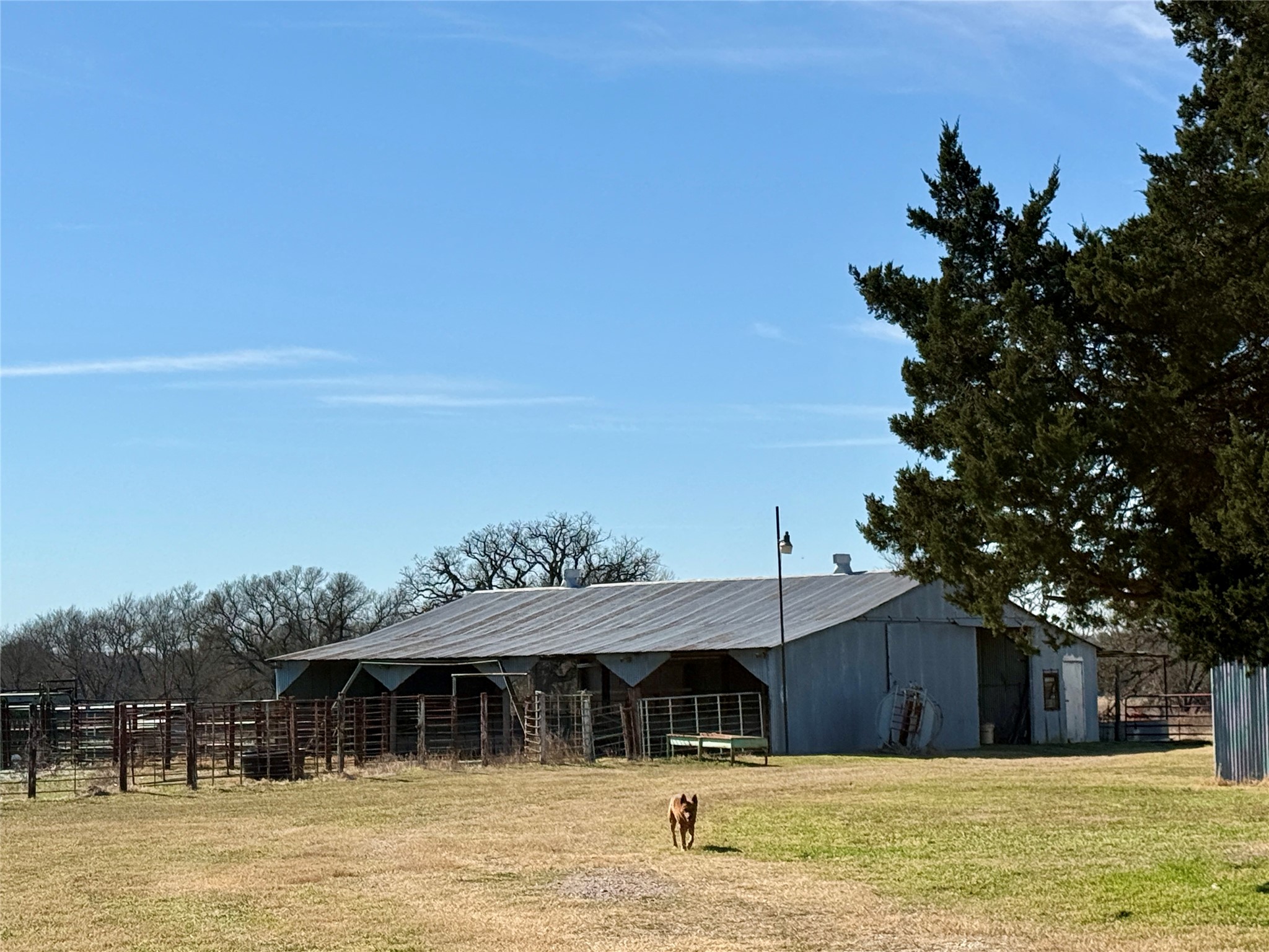 12335 County Road 4230 Purdon TX 76679