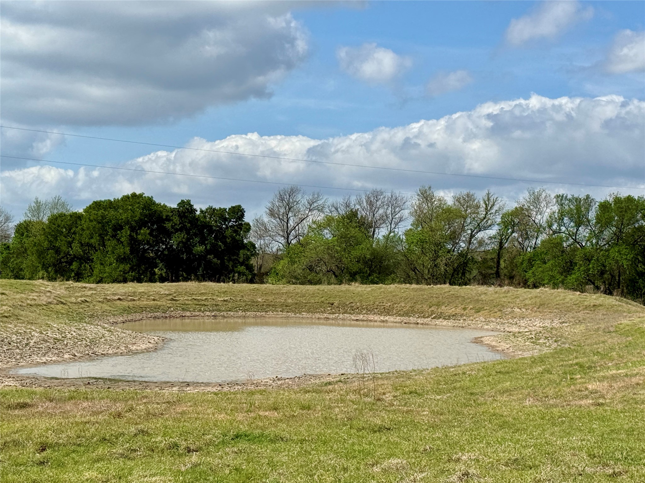 12335 County Road 4230 Purdon TX 76679