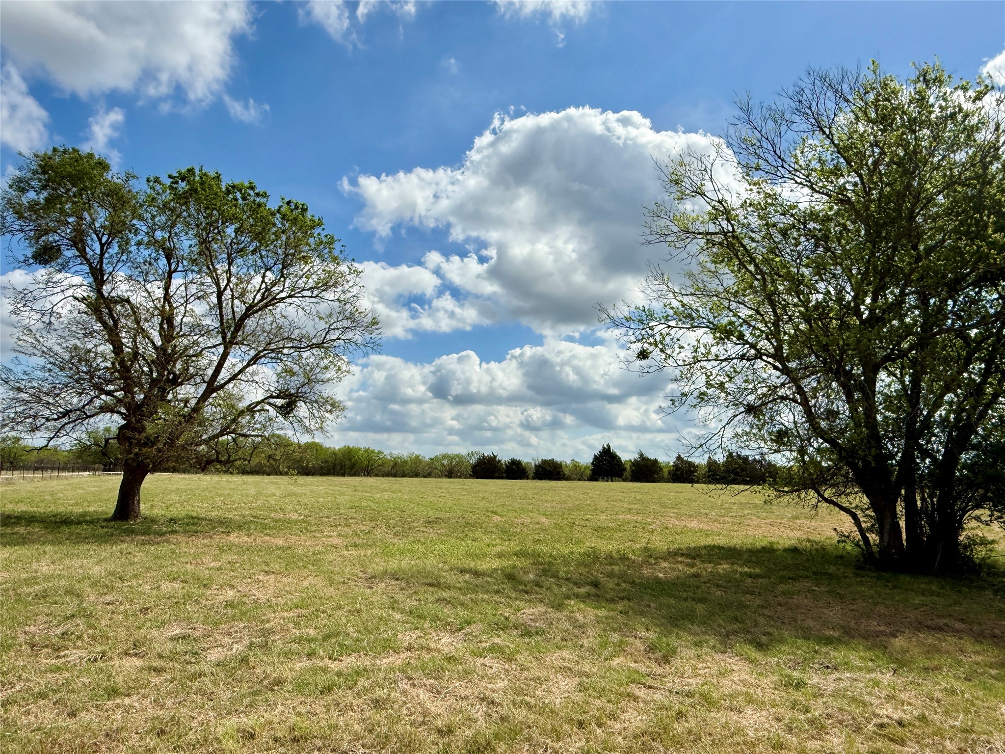 12335 County Road 4230 Purdon TX 76679