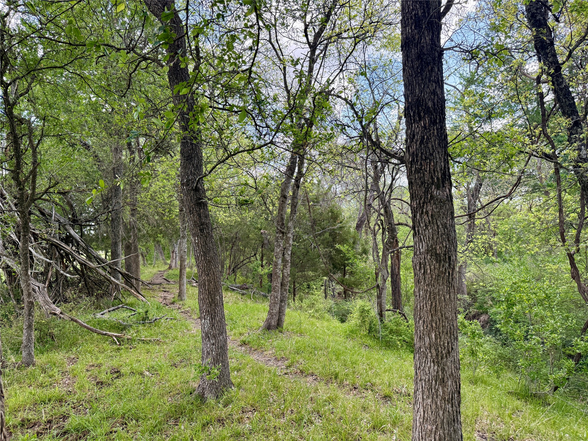 12335 County Road 4230 Purdon TX 76679