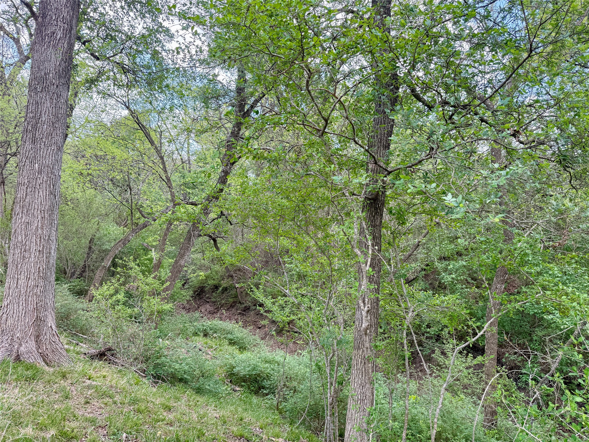 12335 County Road 4230 Purdon TX 76679