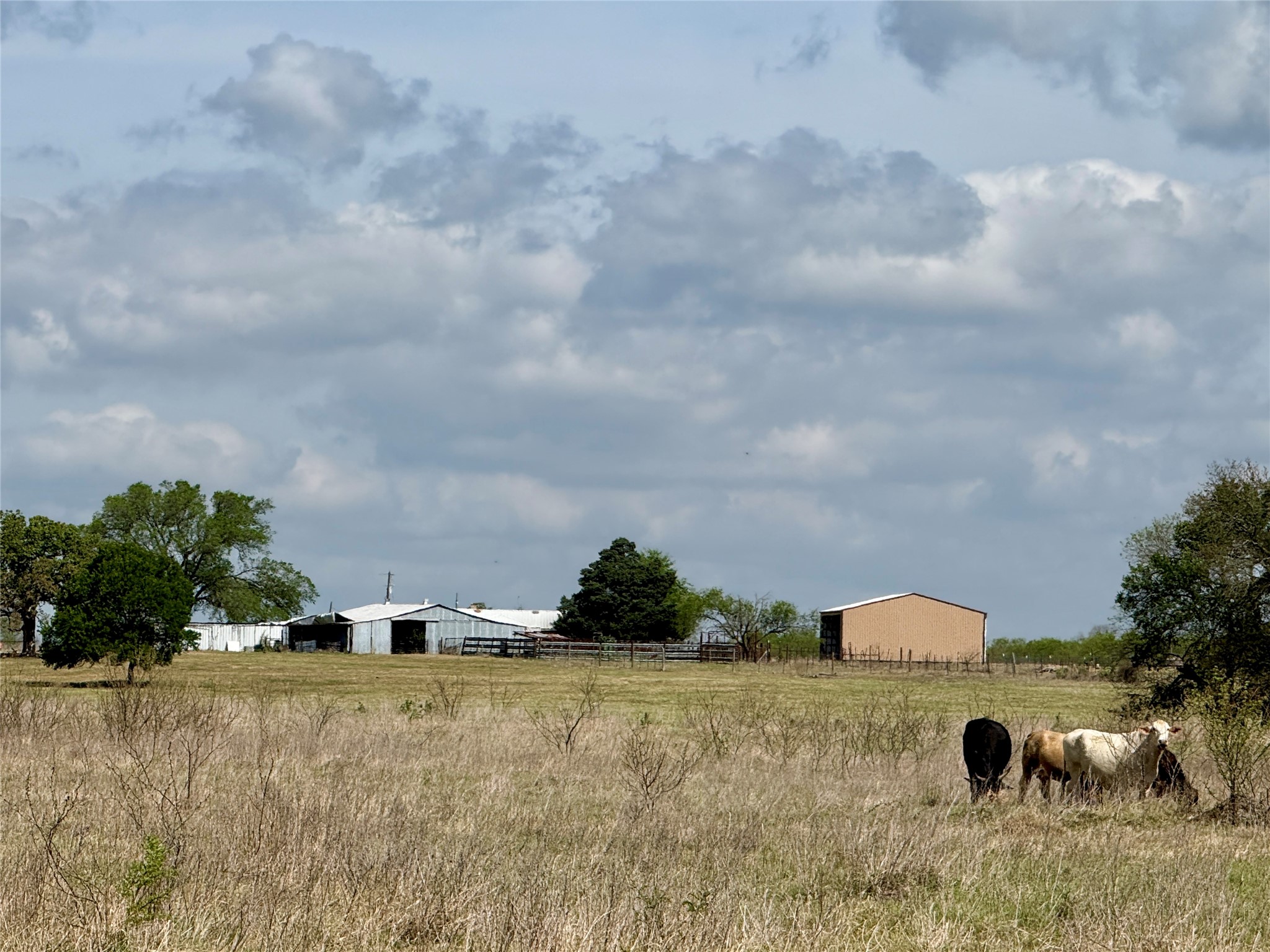 12335 County Road 4230 Purdon TX 76679