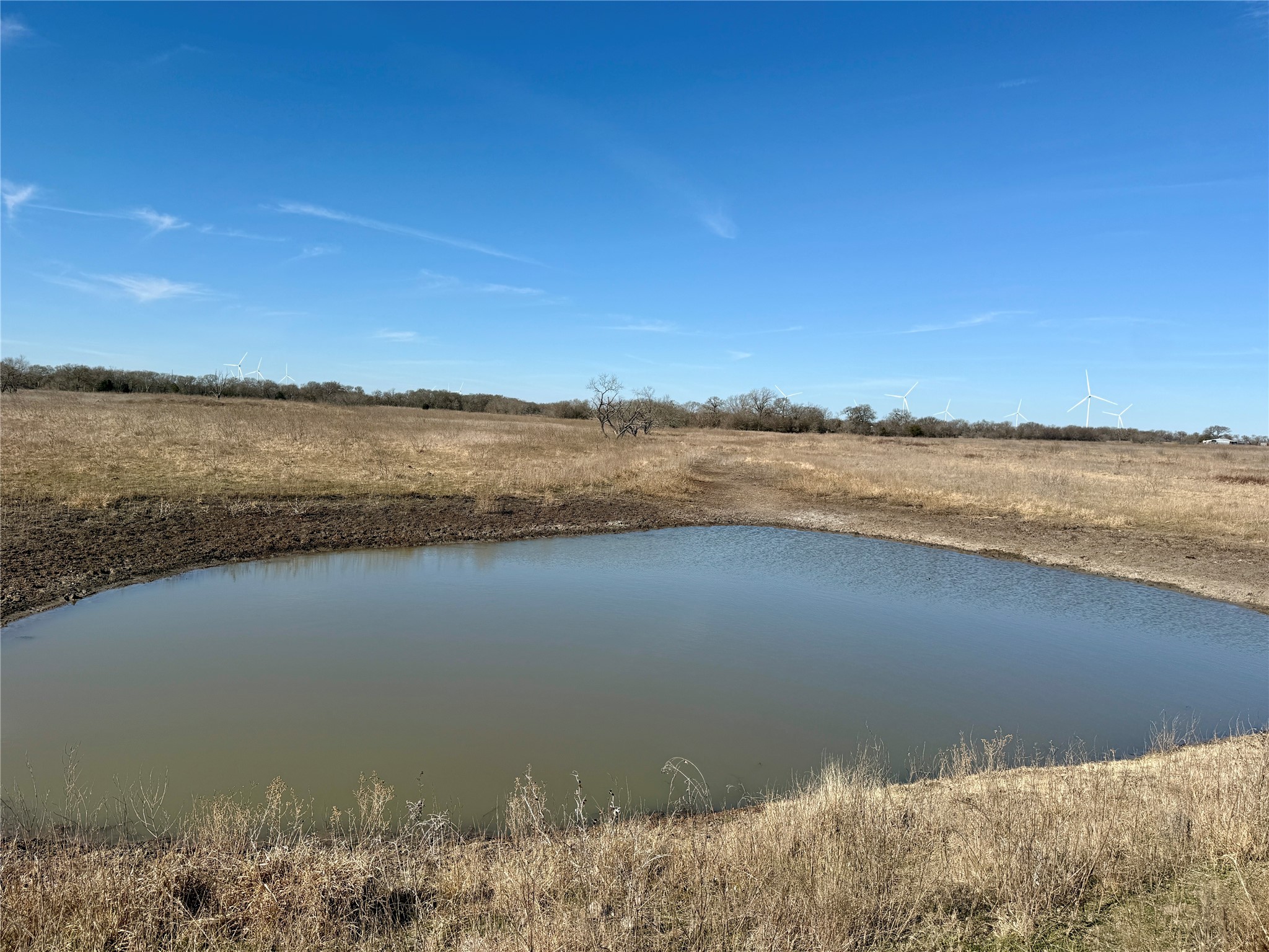 12335 County Road 4230 Purdon TX 76679