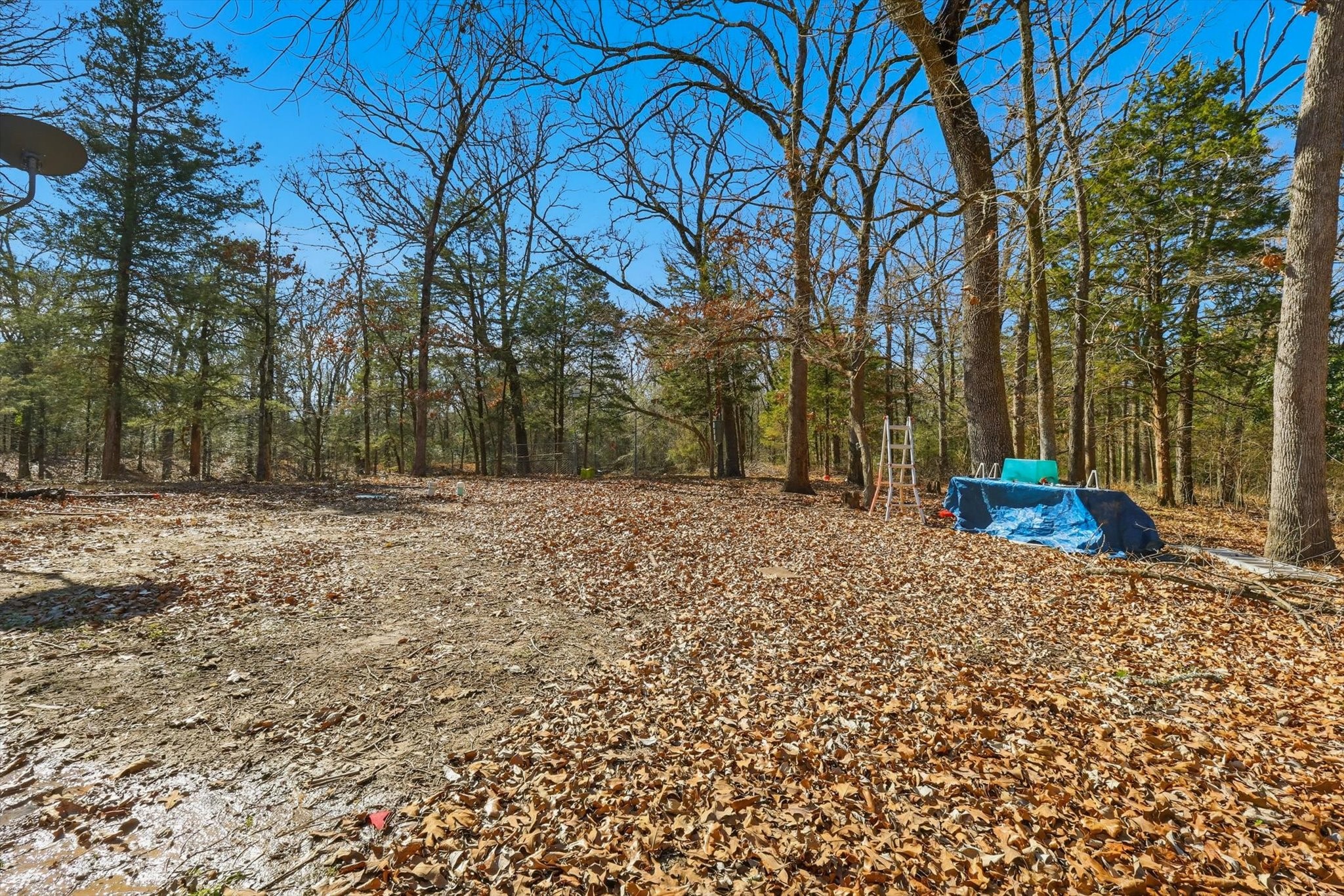 18743 Barnes Lane Terrell TX 75161