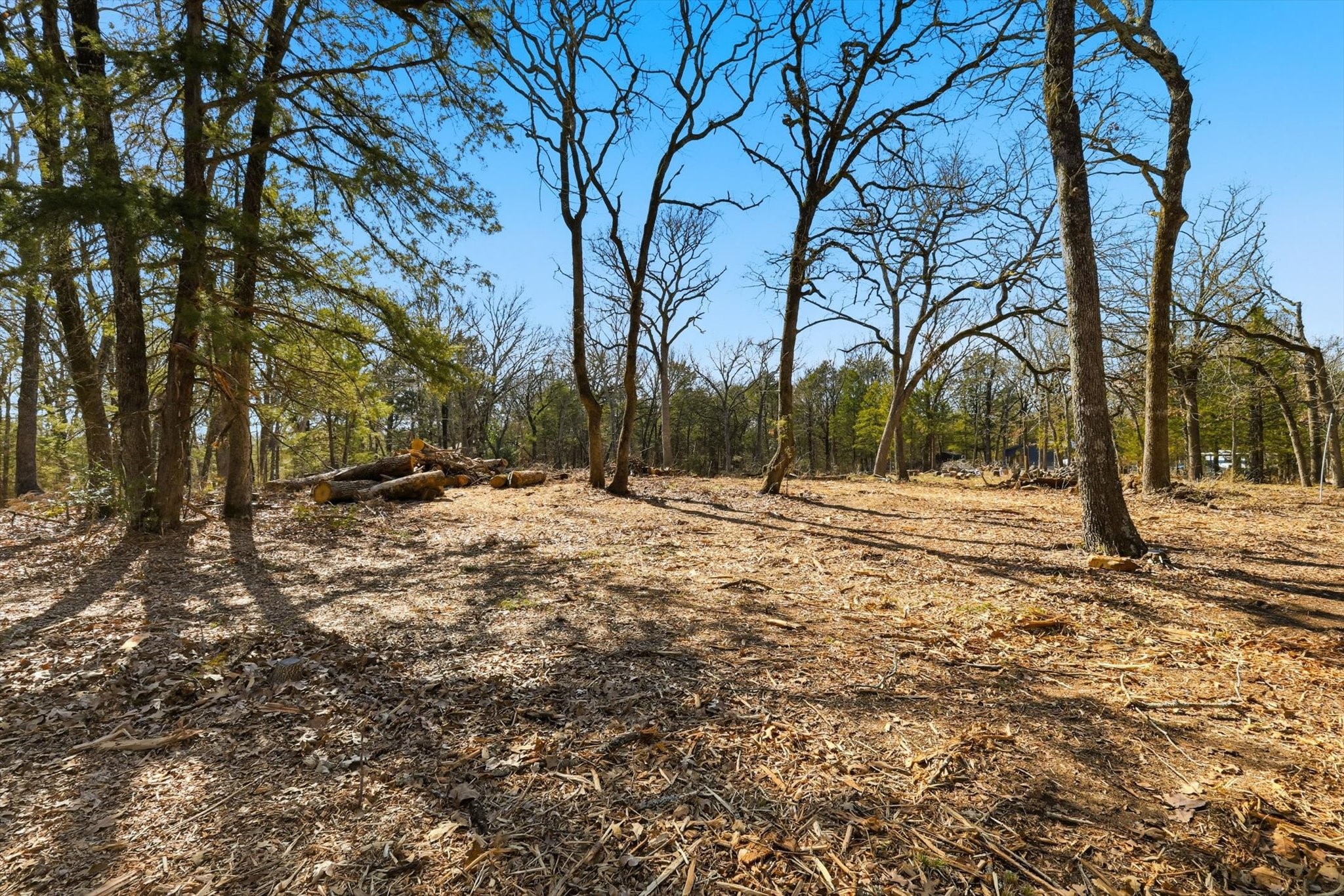 18743 Barnes Lane Terrell TX 75161