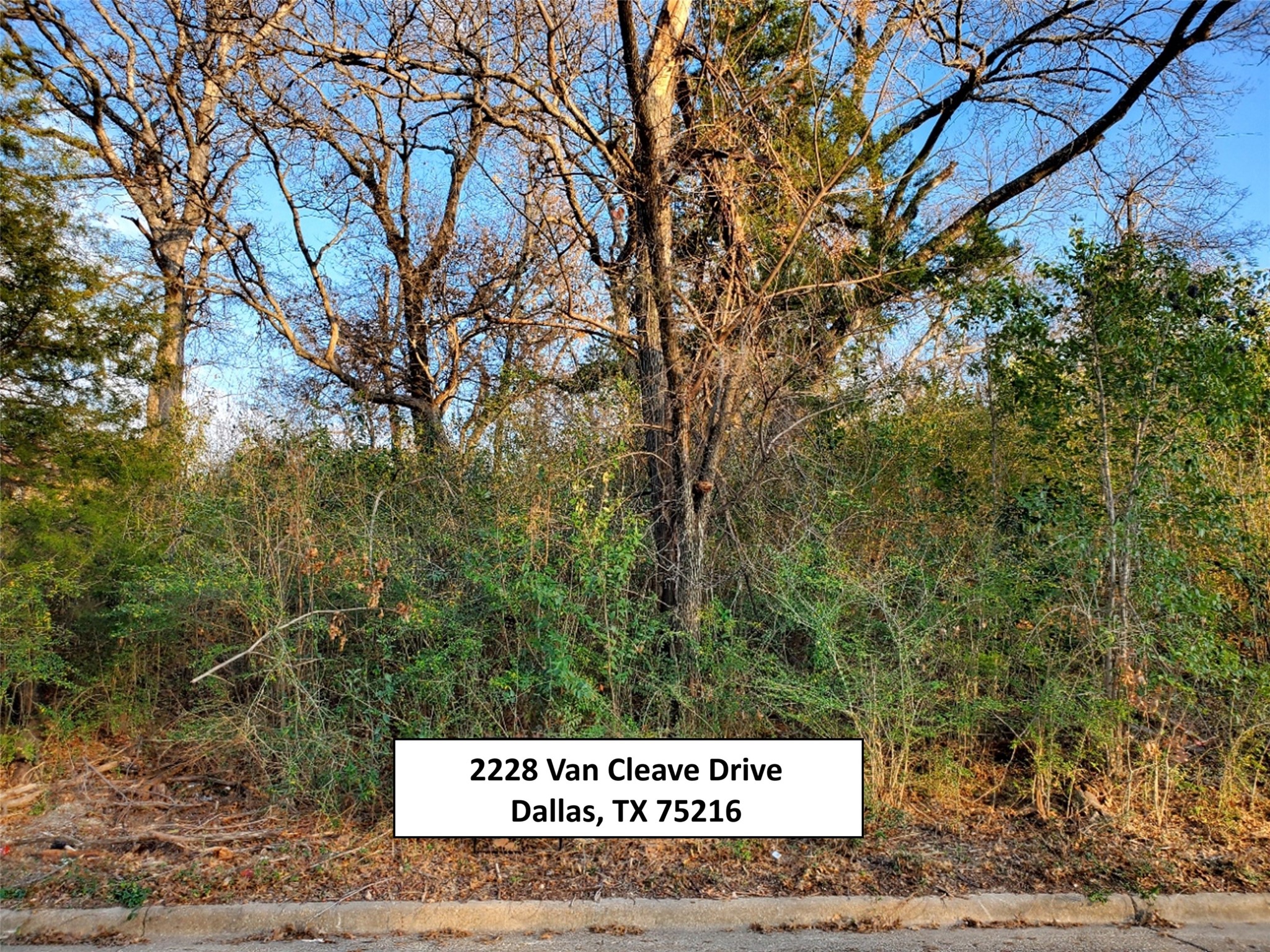 2228 Van Cleave Drive Dallas TX 75216