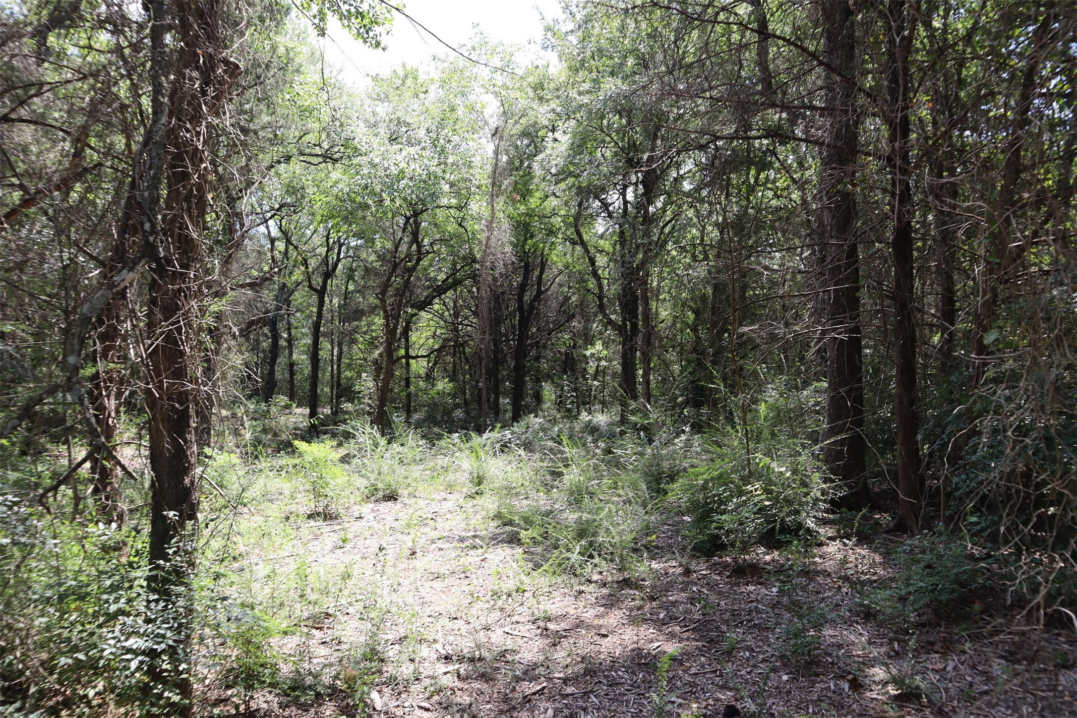 Tbd 3rd Street Pottsboro TX 75076