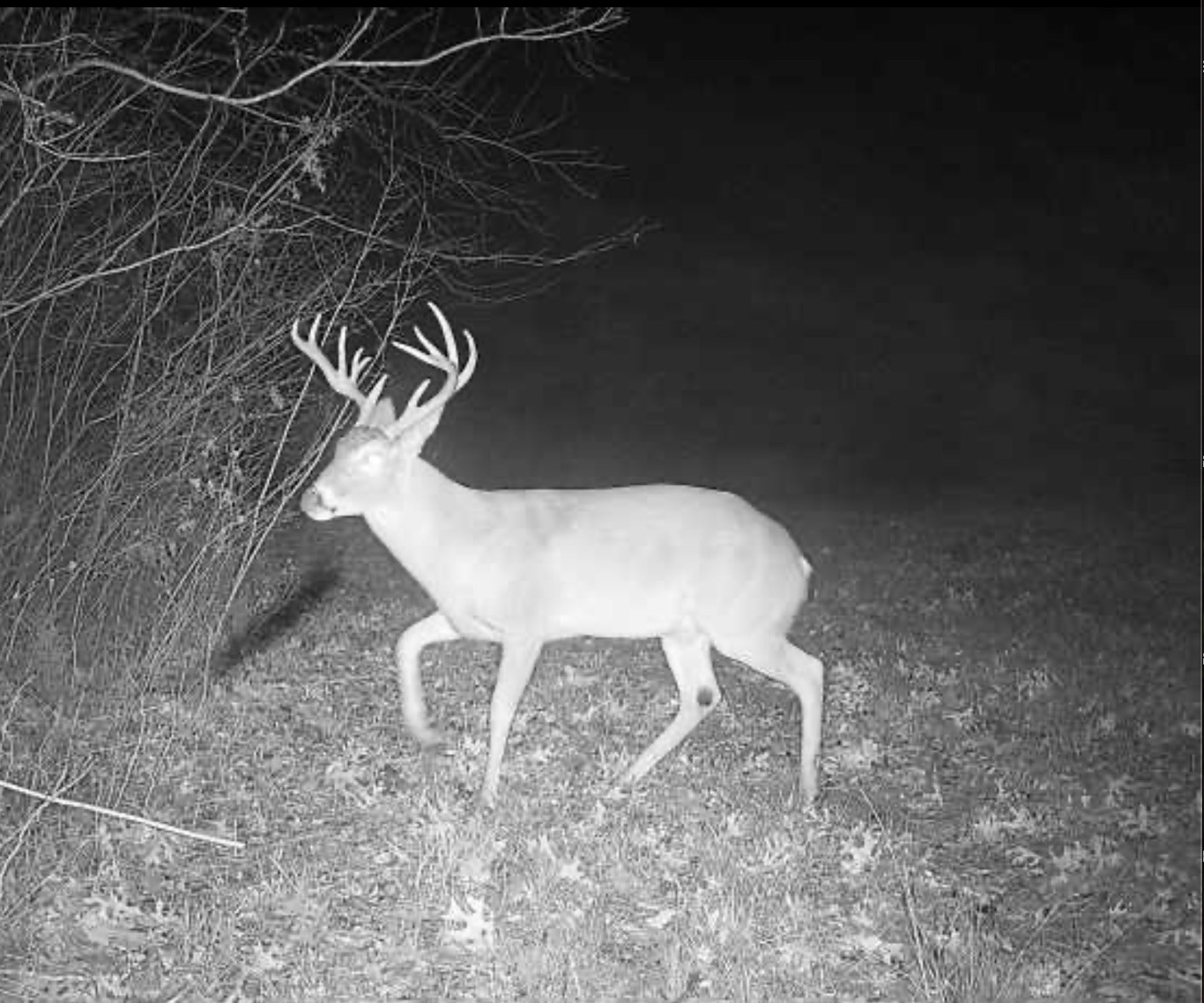 Tbd 3rd Street Pottsboro TX 75076