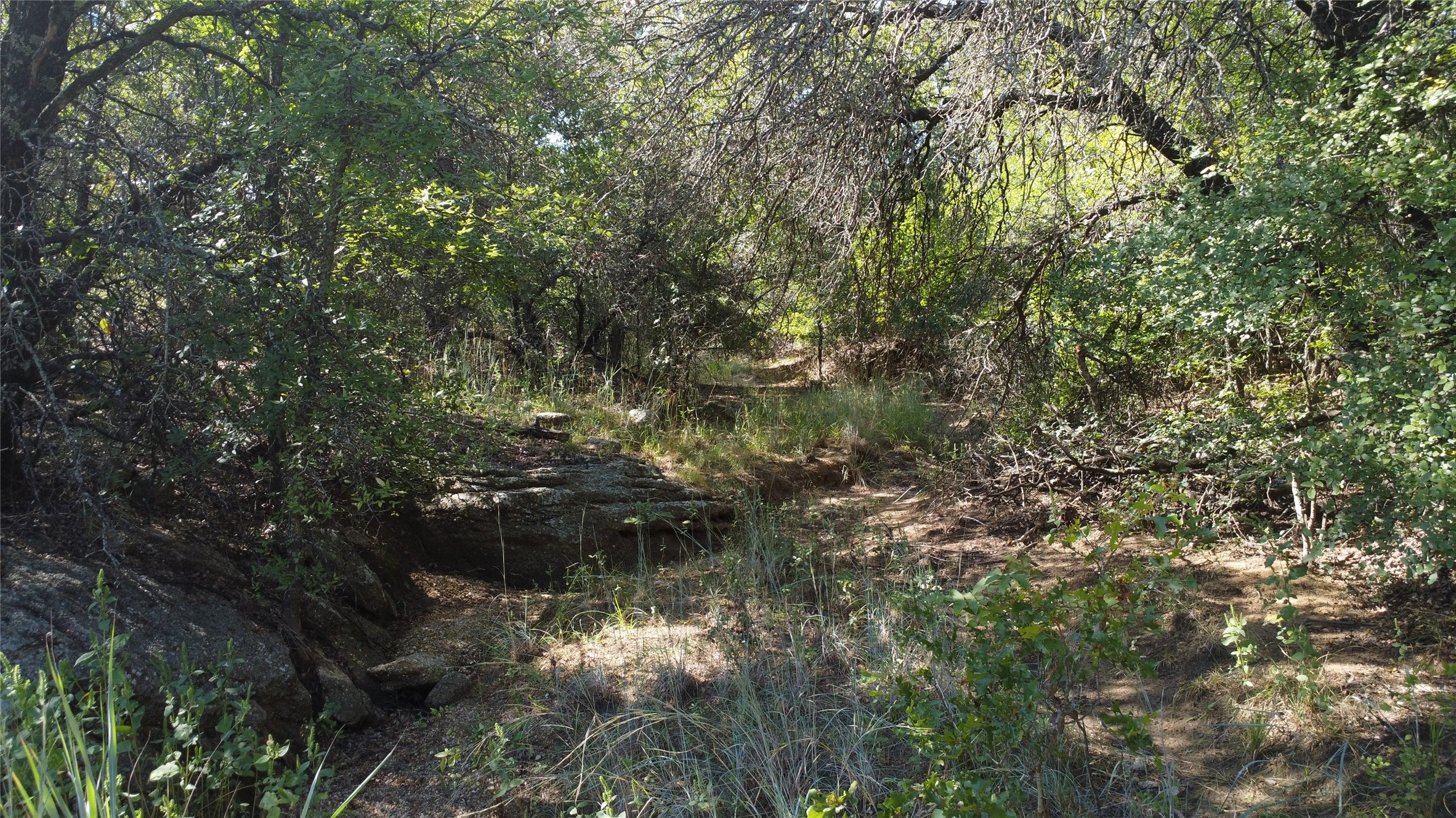 1685 Rocky Mound Road Graham TX 76450