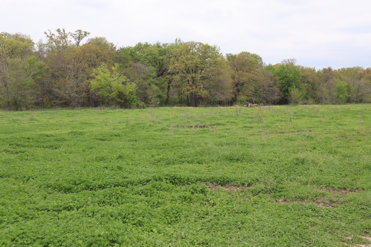 0 County Road 4764 Sulphur Springs TX 75482