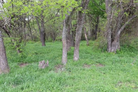 0 County Road 4764 Sulphur Springs TX 75482