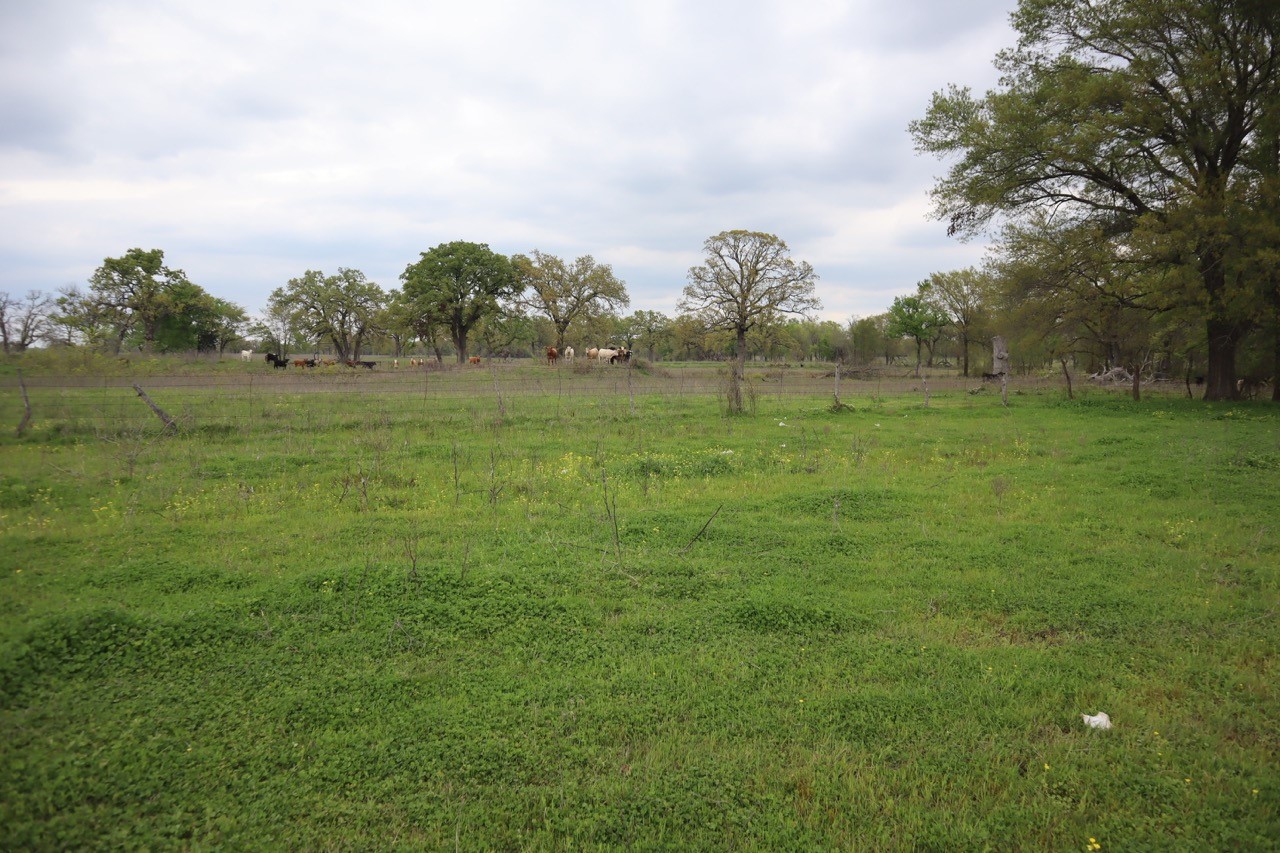 0 County Road 4764 Sulphur Springs TX 75482
