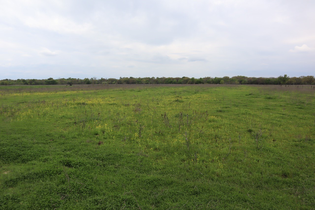 0 County Road 4764 Sulphur Springs TX 75482