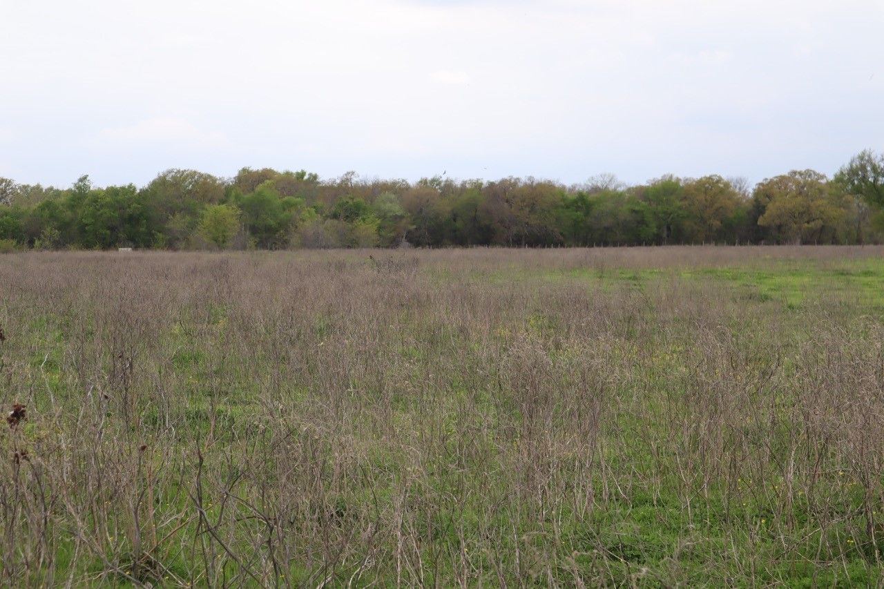 0 County Road 4764 Sulphur Springs TX 75482