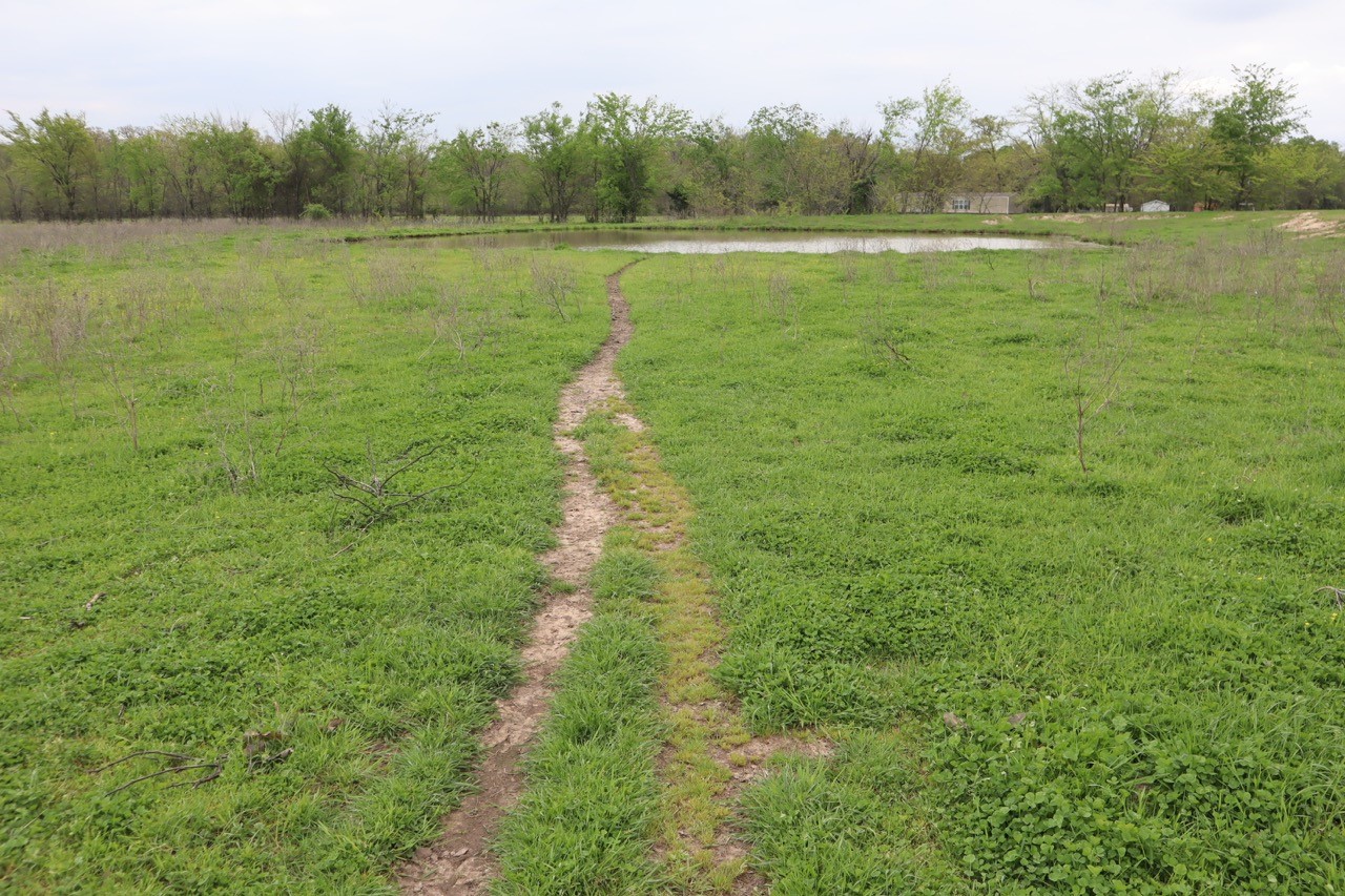 0 County Road 4764 Sulphur Springs TX 75482