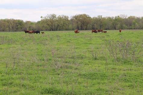 0 County Road 4764 Sulphur Springs TX 75482