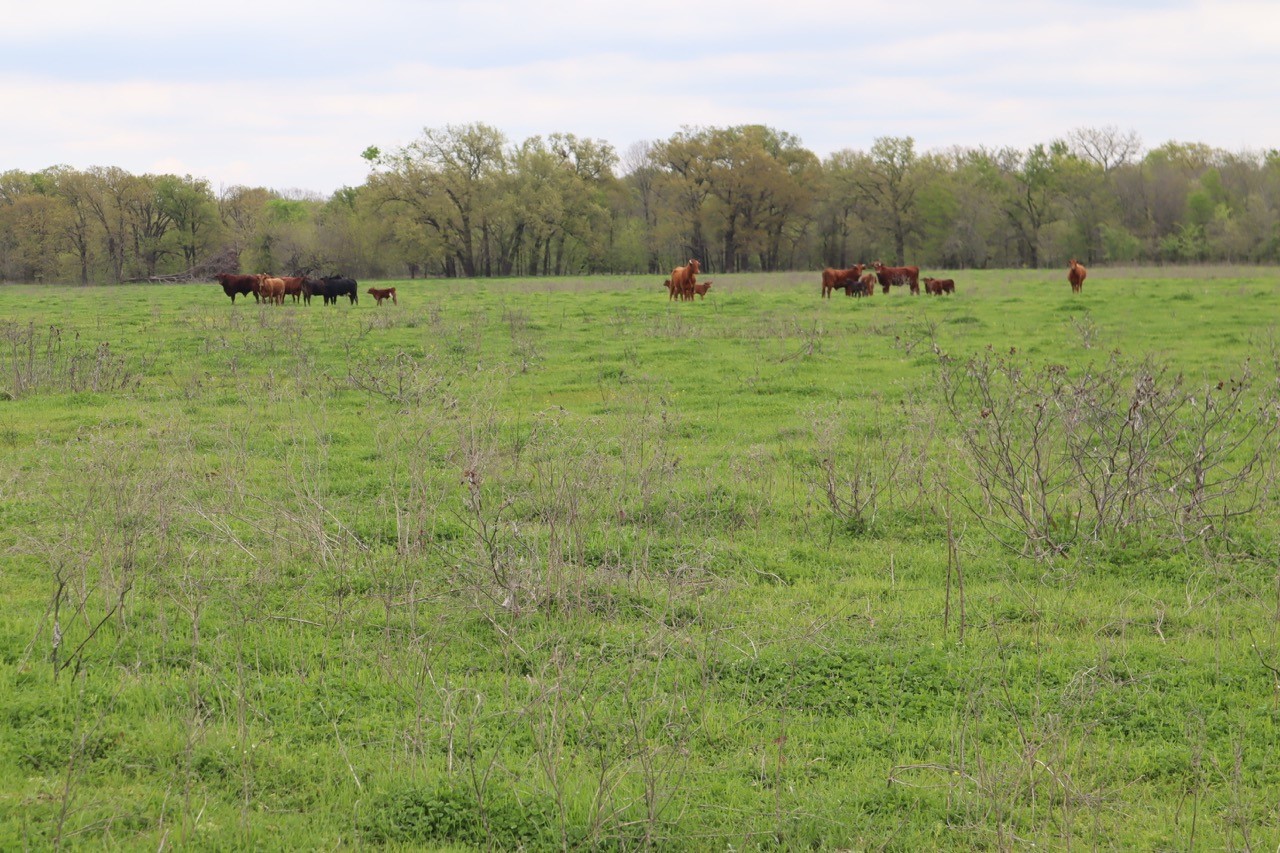 0 County Road 4764 Sulphur Springs TX 75482