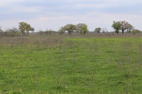 0 County Road 4764 Sulphur Springs TX 75482