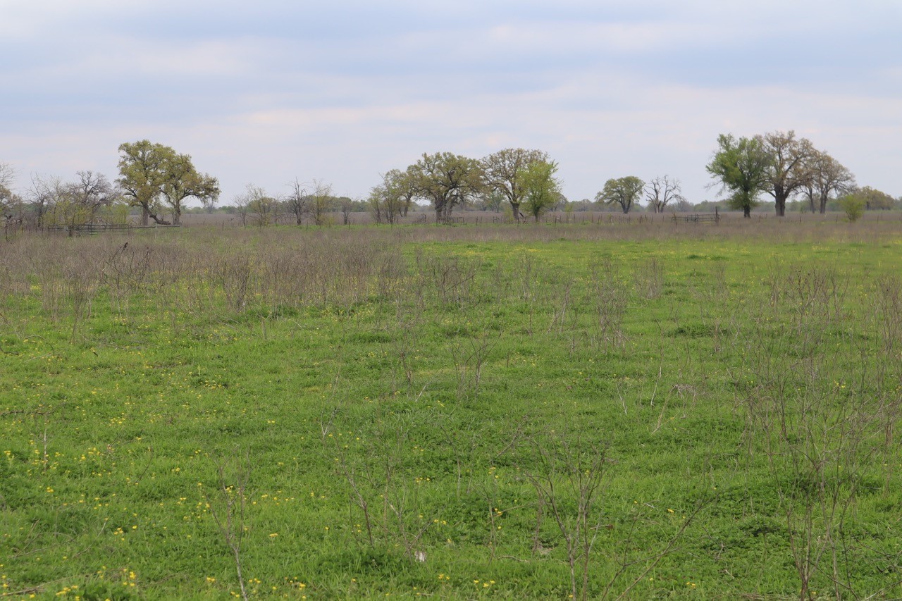 0 County Road 4764 Sulphur Springs TX 75482