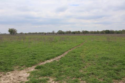 0 County Road 4764 Sulphur Springs TX 75482