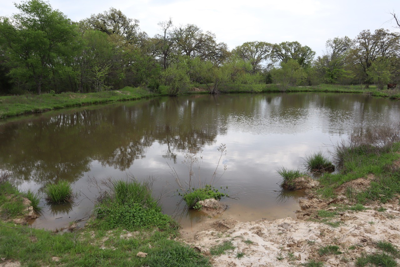 0 County Road 4764 Sulphur Springs TX 75482