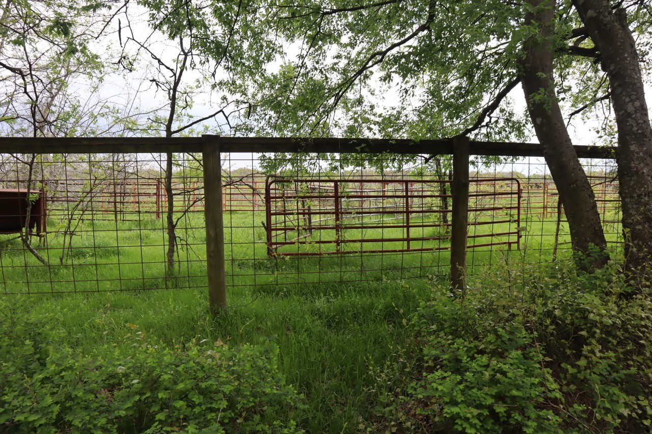 0 County Road 4764 Sulphur Springs TX 75482