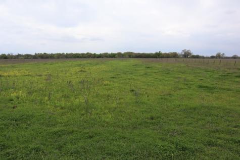 0 County Road 4764 Sulphur Springs TX 75482