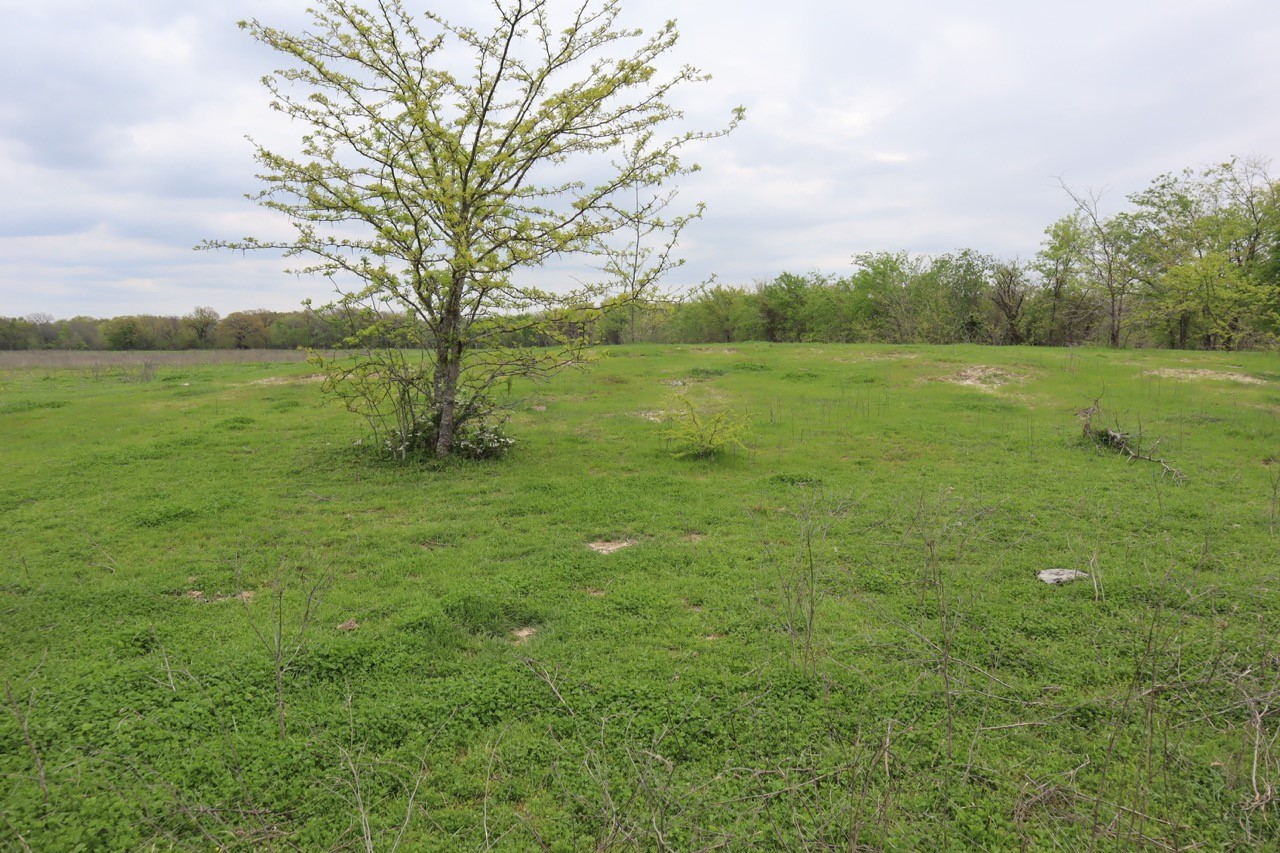 0 County Road 4764 Sulphur Springs TX 75482
