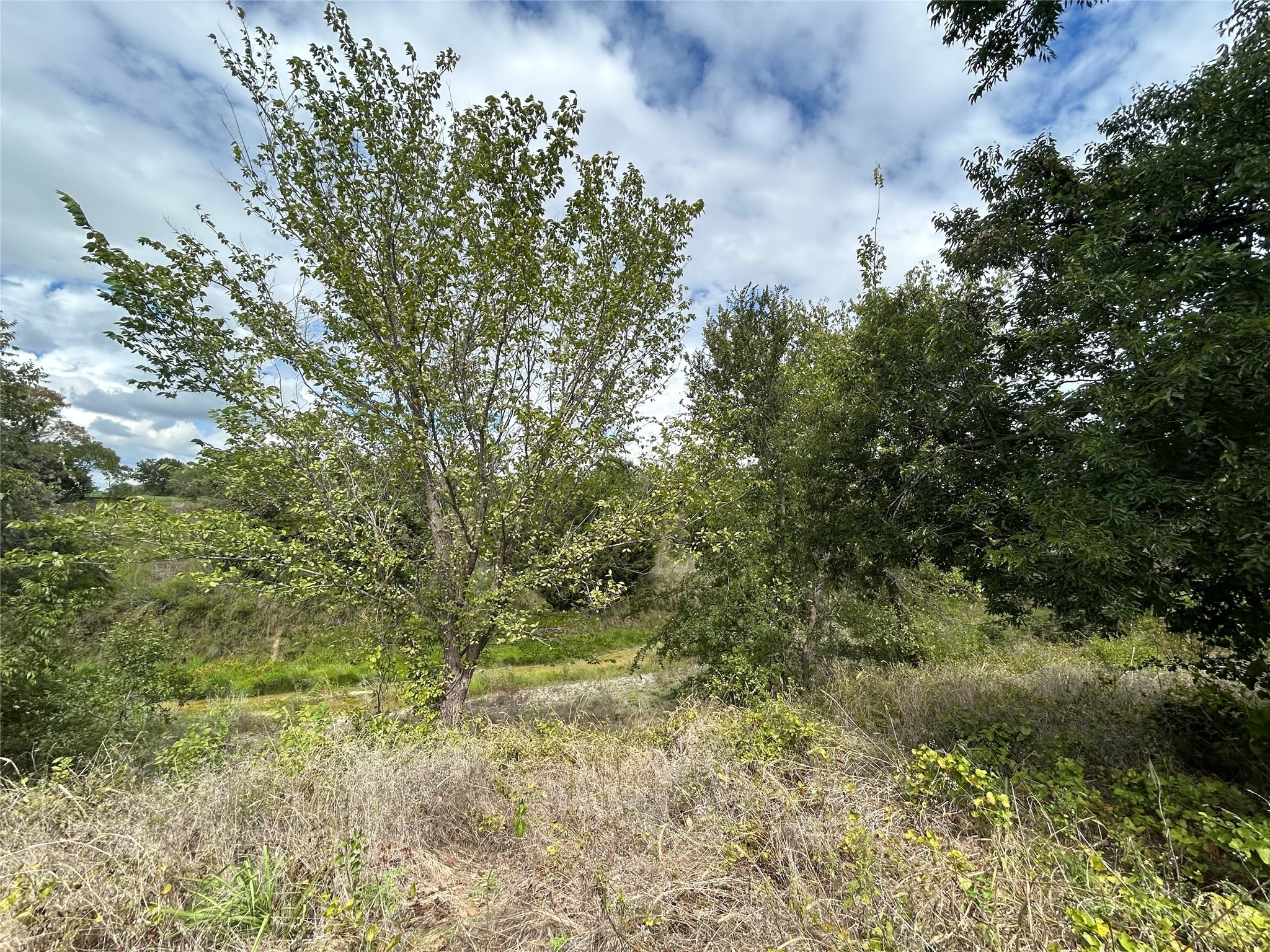 3044 Winding Creek Trail Aledo TX 76008