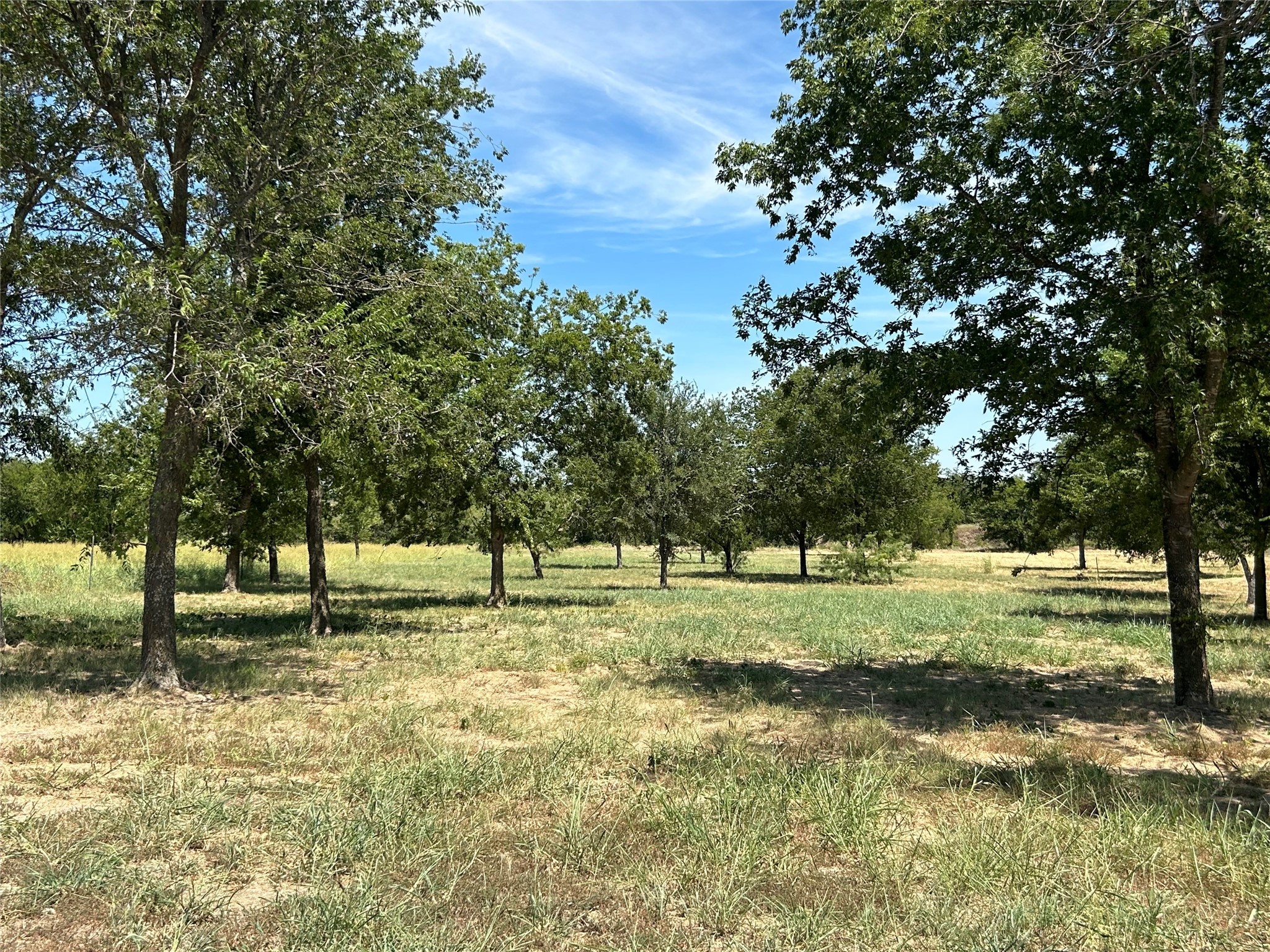 3044 Winding Creek Trail Aledo TX 76008