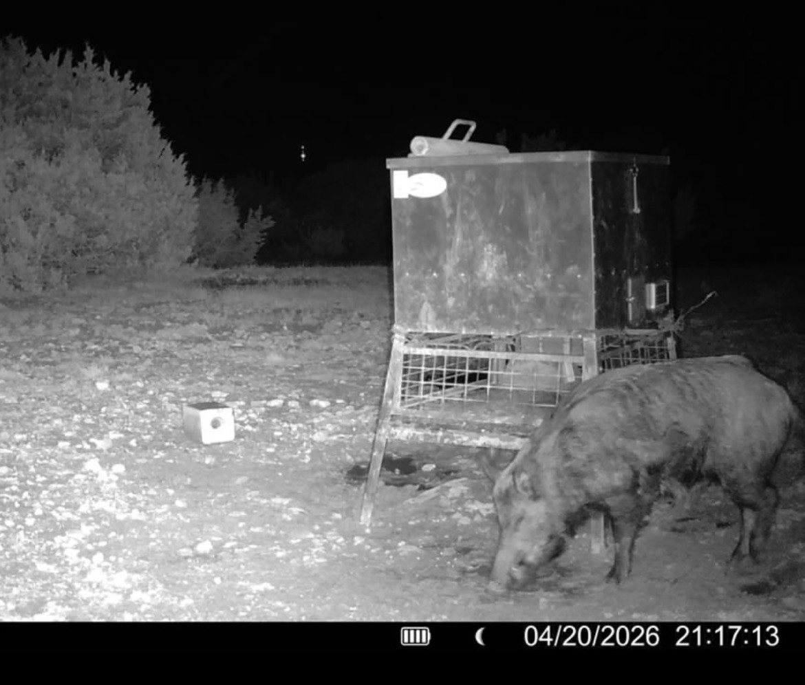 Tbd 200 County Road 220 No City TX 79566