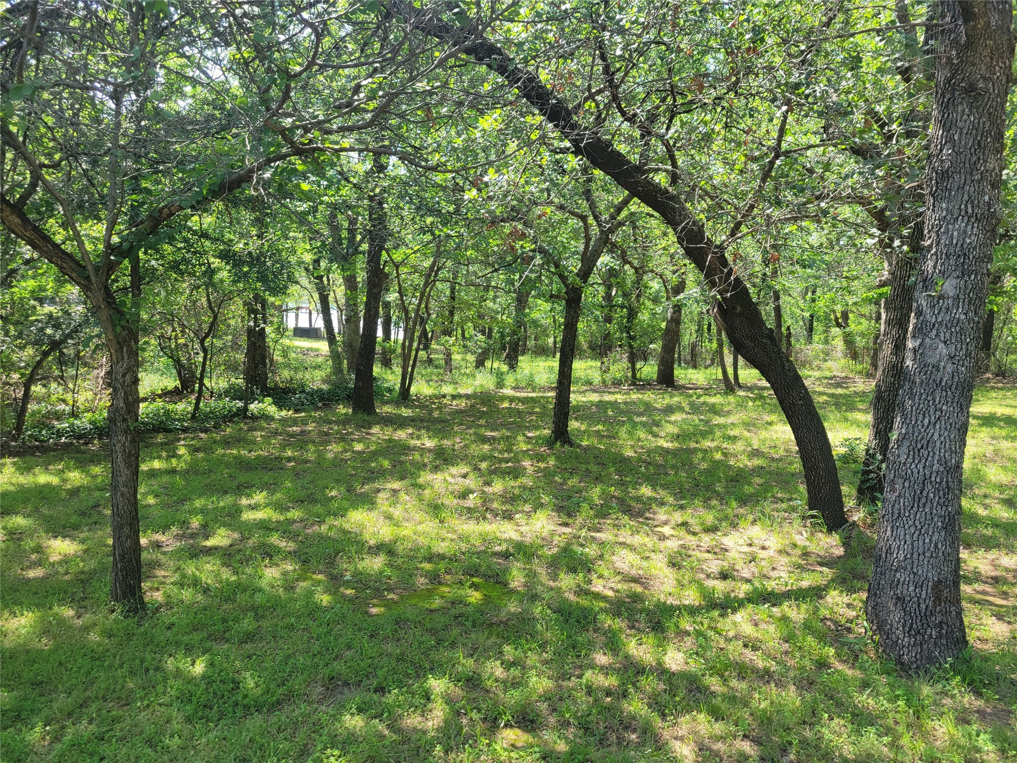 38 Pawnee Trail Nocona TX 76255