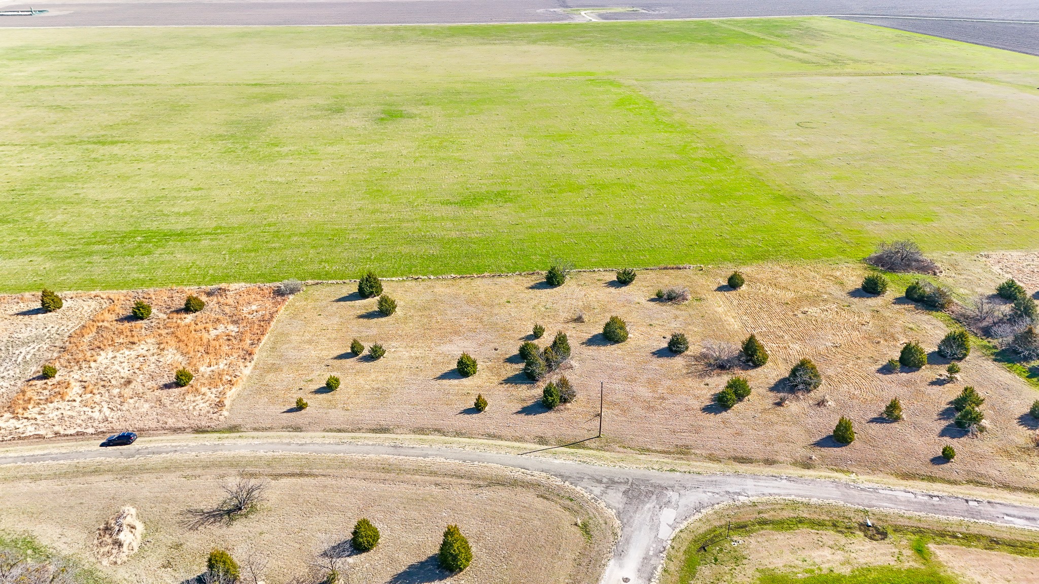 Lot 45 Baybridge Kerens TX 75144