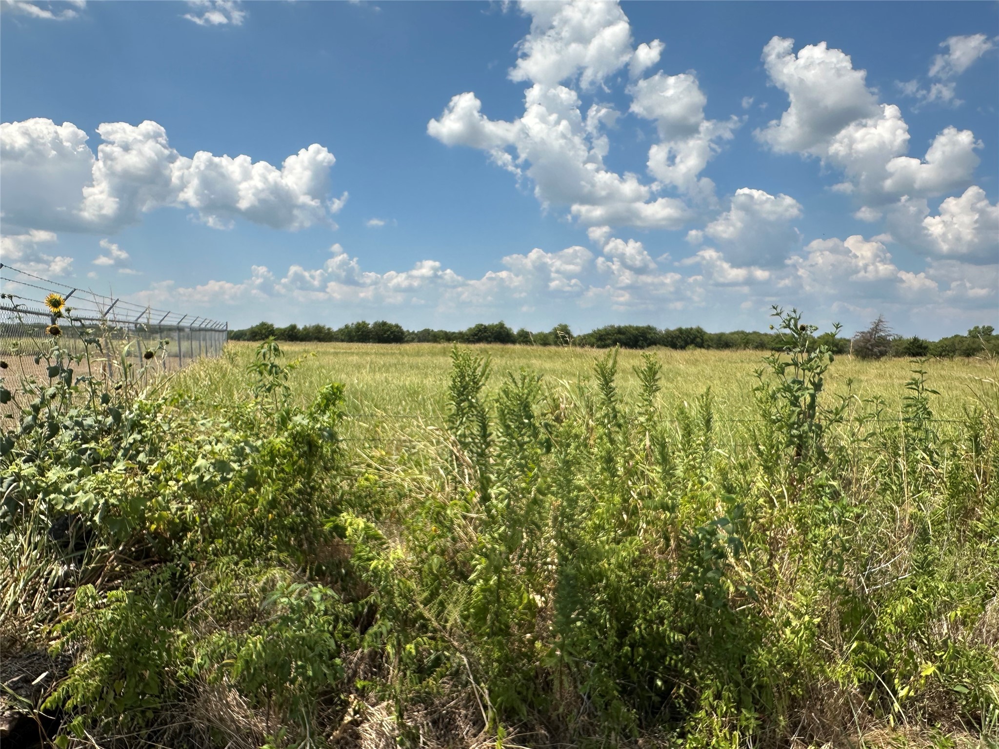 Lot 9 Eastline Road Whitewright TX 75491