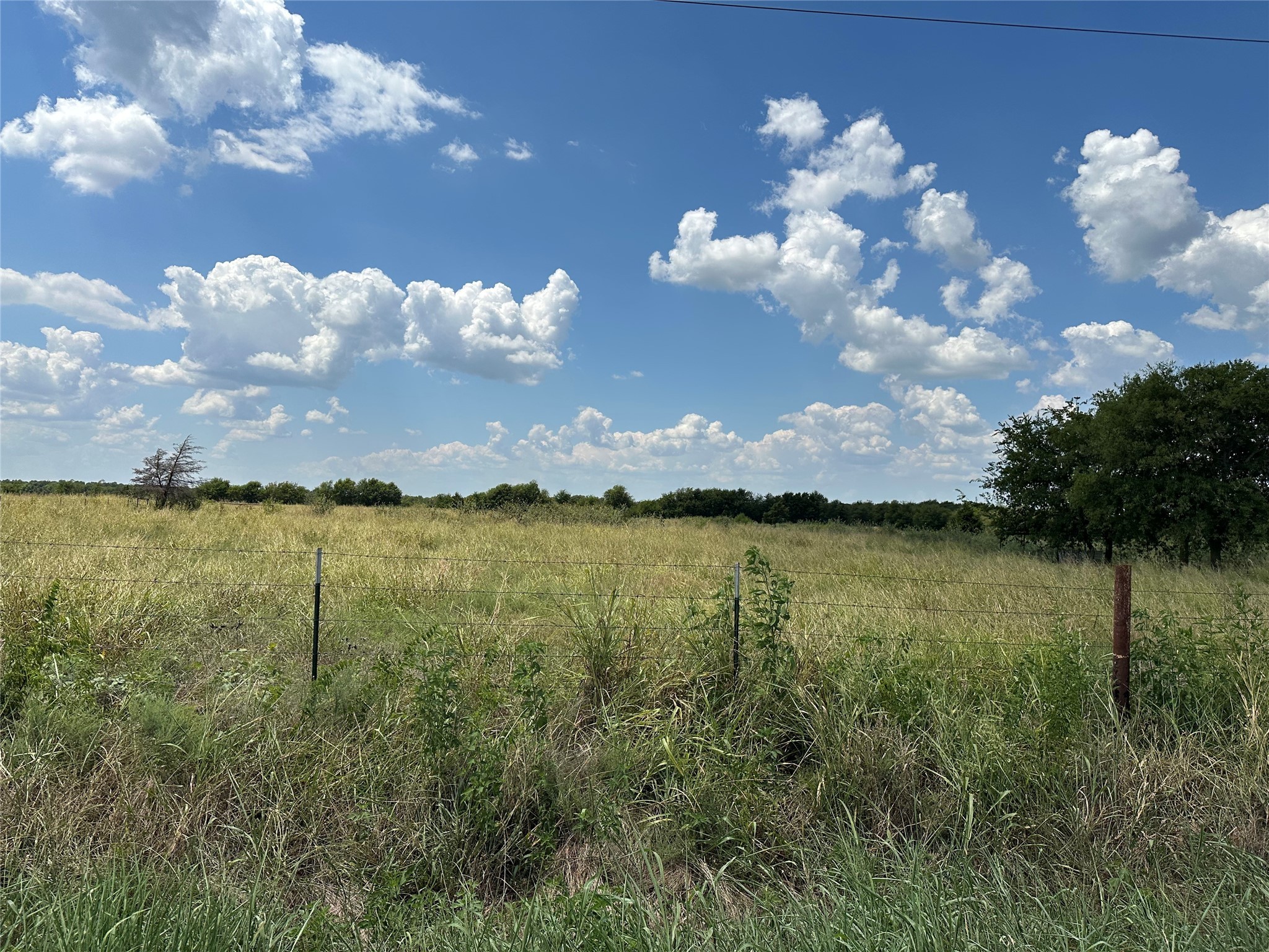 Lot 9 Eastline Road Whitewright TX 75491