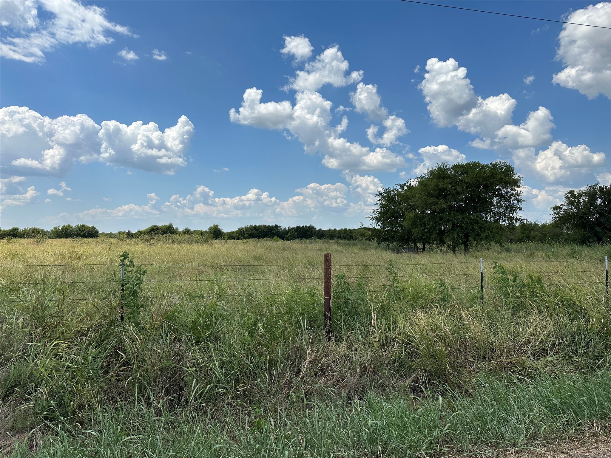 Lot 9 Eastline Road Whitewright TX 75491