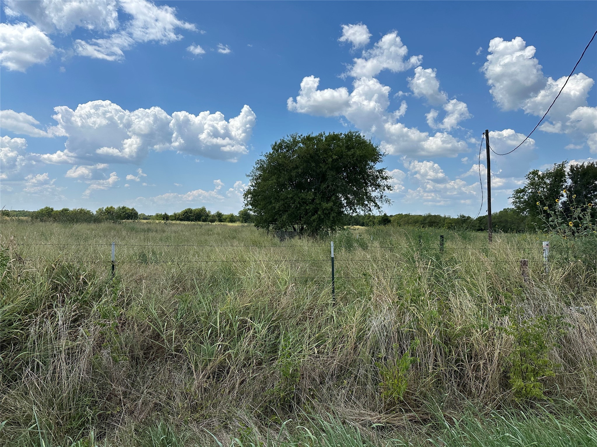 Lot 9 Eastline Road Whitewright TX 75491
