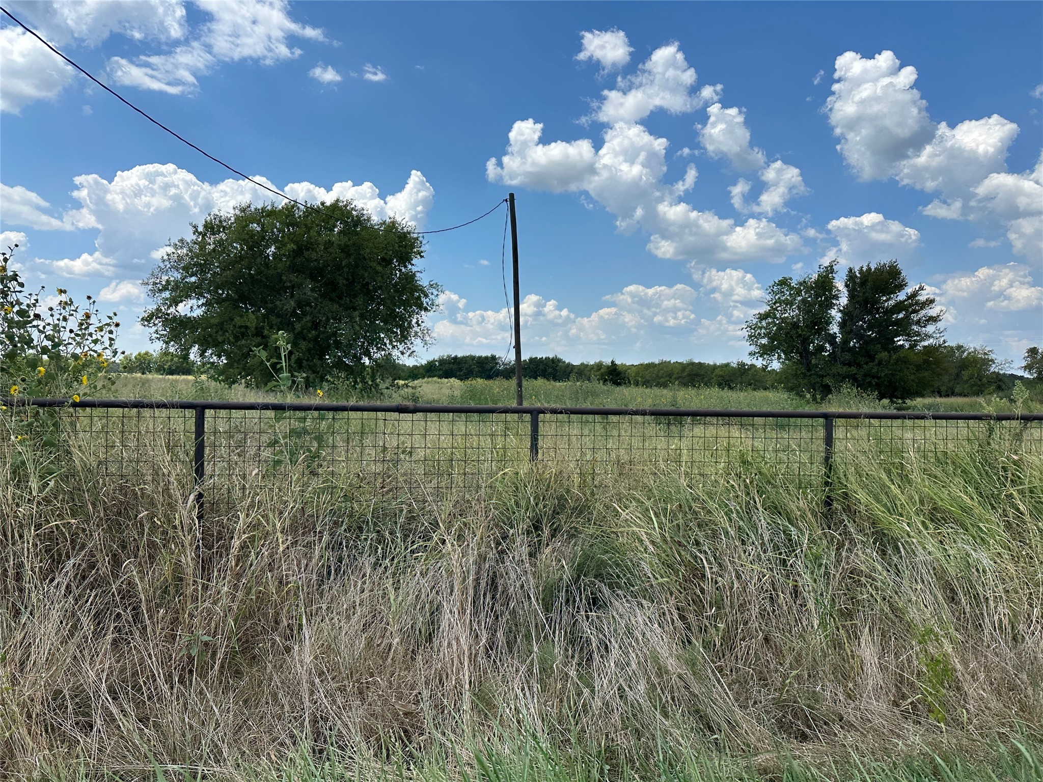 Lot 9 Eastline Road Whitewright TX 75491
