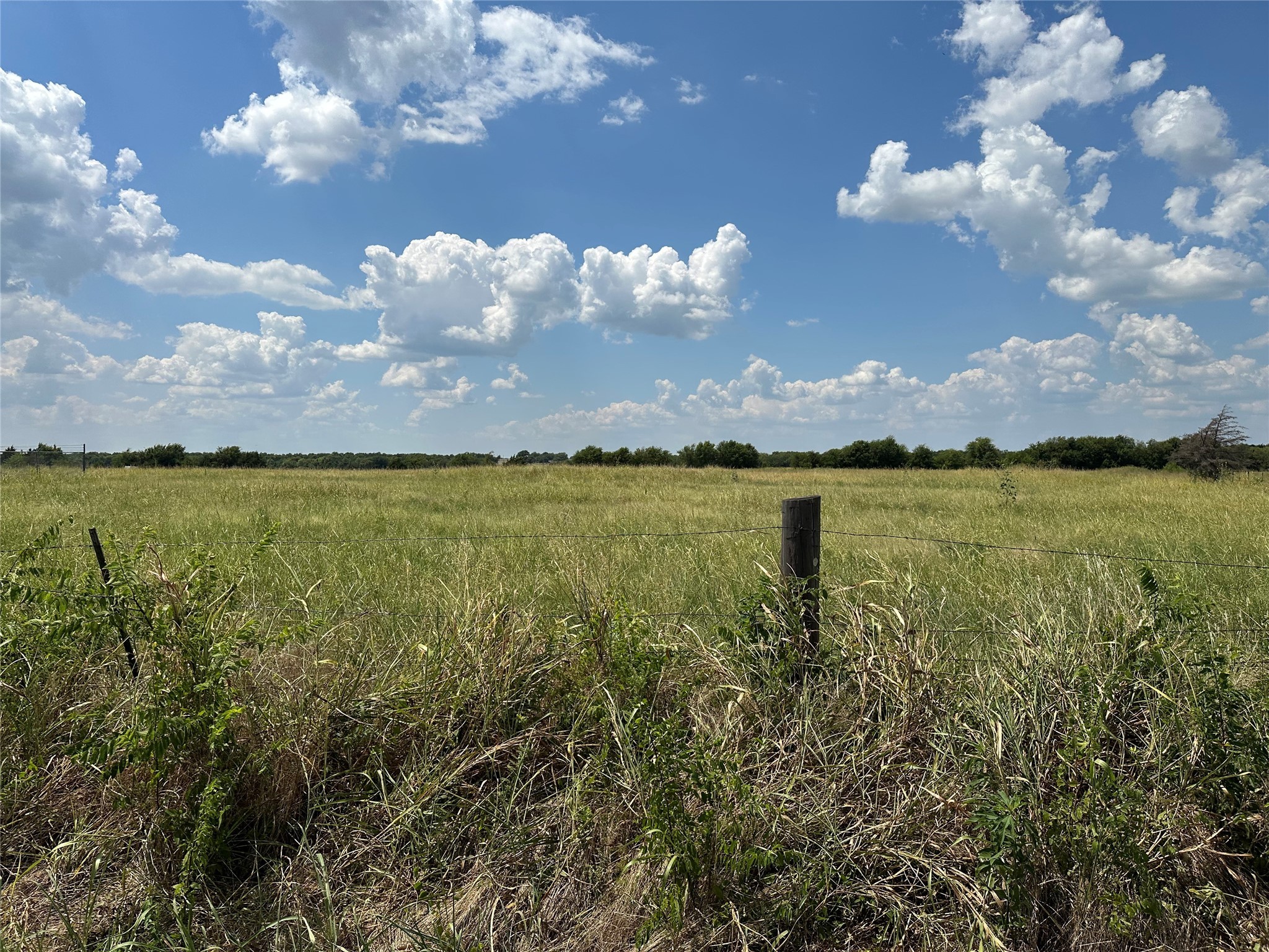 Lot 9 Eastline Road Whitewright TX 75491