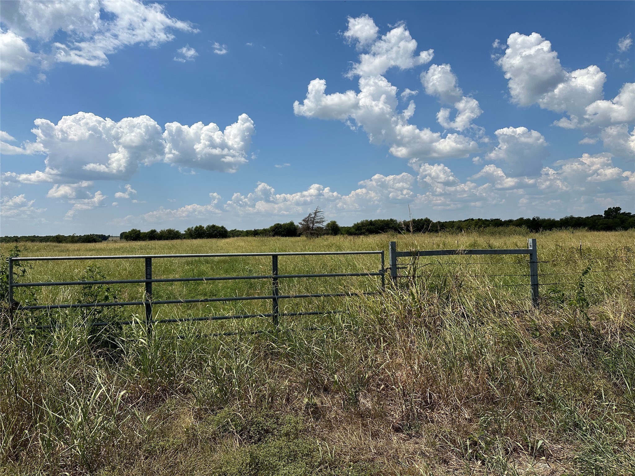 Lot 9 Eastline Road Whitewright TX 75491