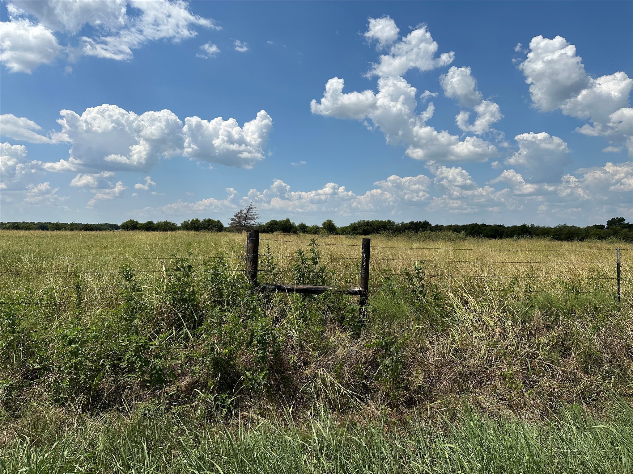 Lot 9 Eastline Road Whitewright TX 75491