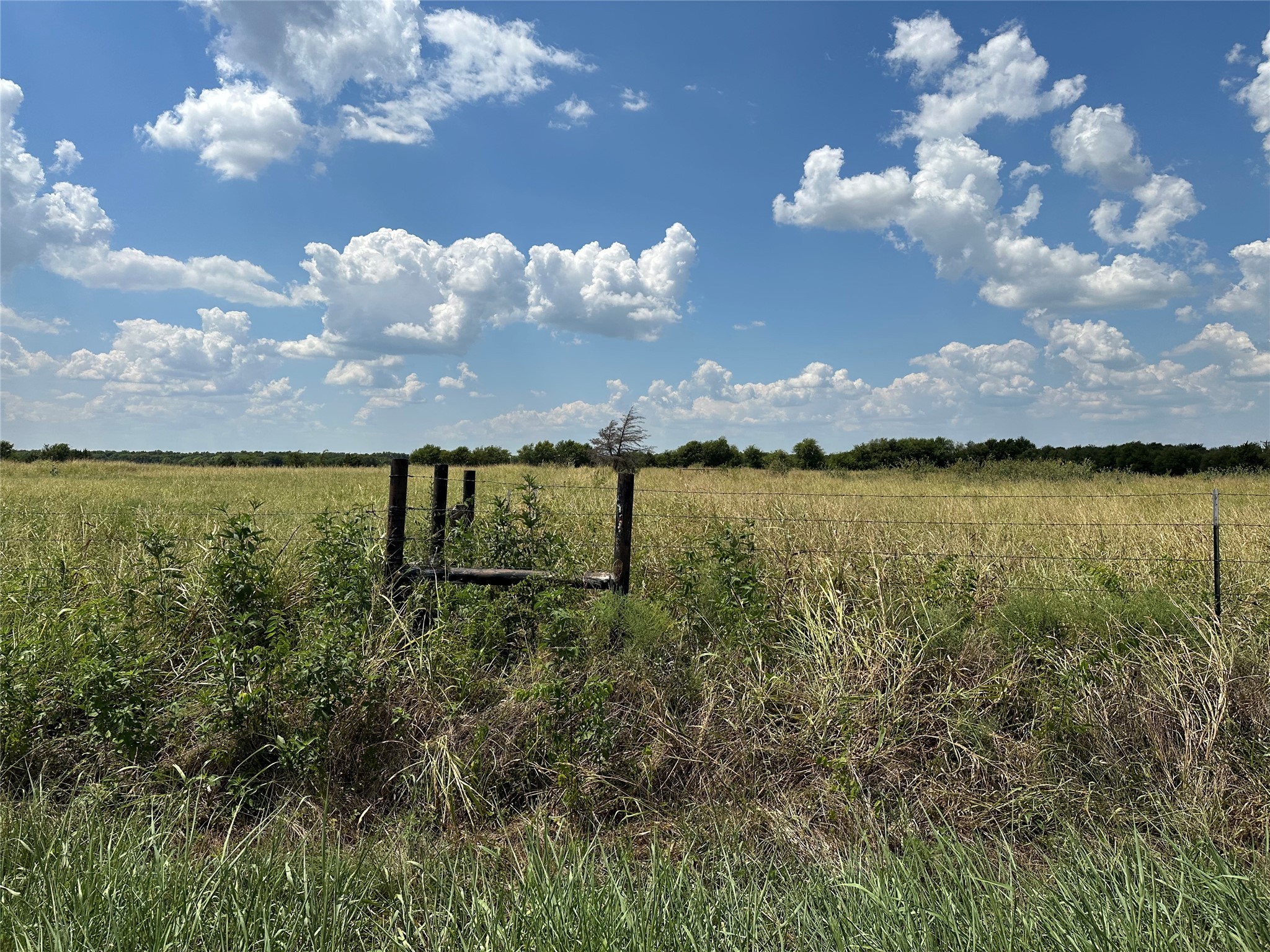 Lot 9 Eastline Road Whitewright TX 75491