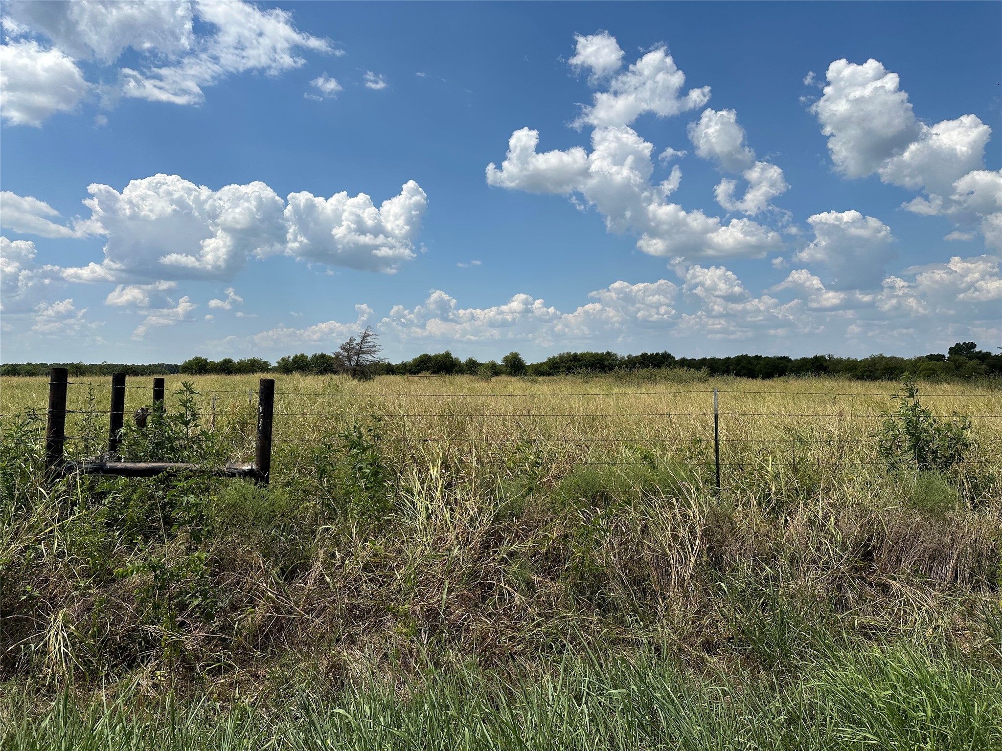 Lot 9 Eastline Road Whitewright TX 75491
